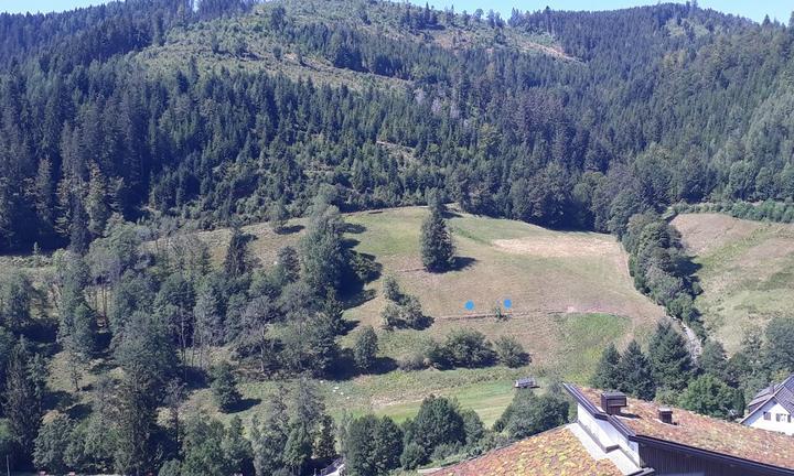 Blockhütte, Hotel Traube Tonbach